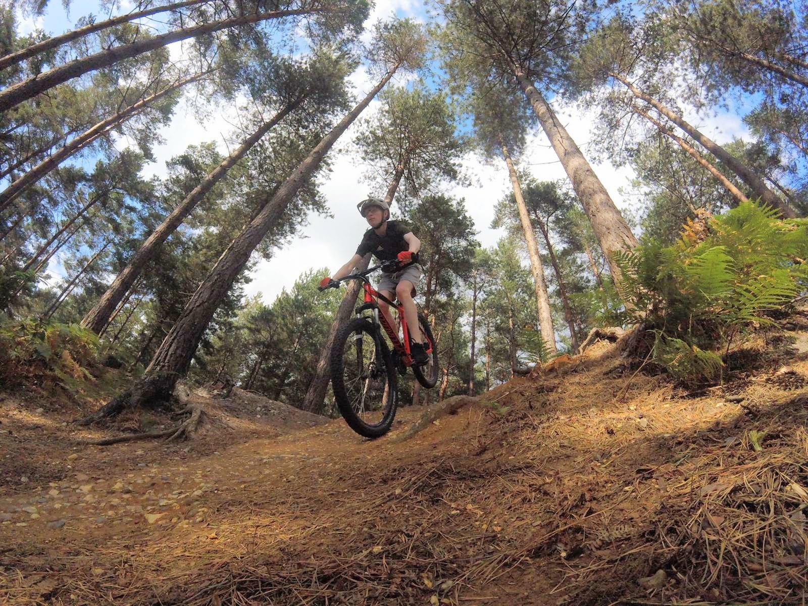 Mountain biking at Swinley Forest, by Finley Saunders,