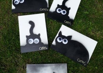 Catsy