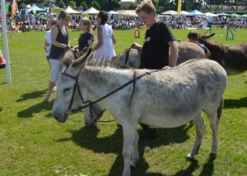 Twyford Scouts Donkey Derby and Summer Fair will take place on June 2 from 1pm
