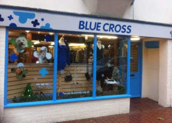 Blue Cross
