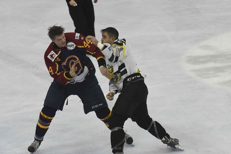 Bees' James Galazzi dropped the gloves with opponent Rupert Quinney (PIcture: Bob Swann)