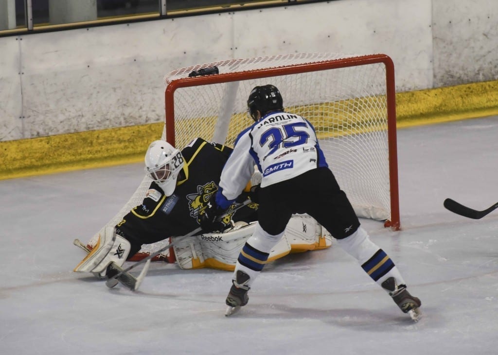 Alex Mettam received praise for his performance between the posts (Picture: Bob Swann)