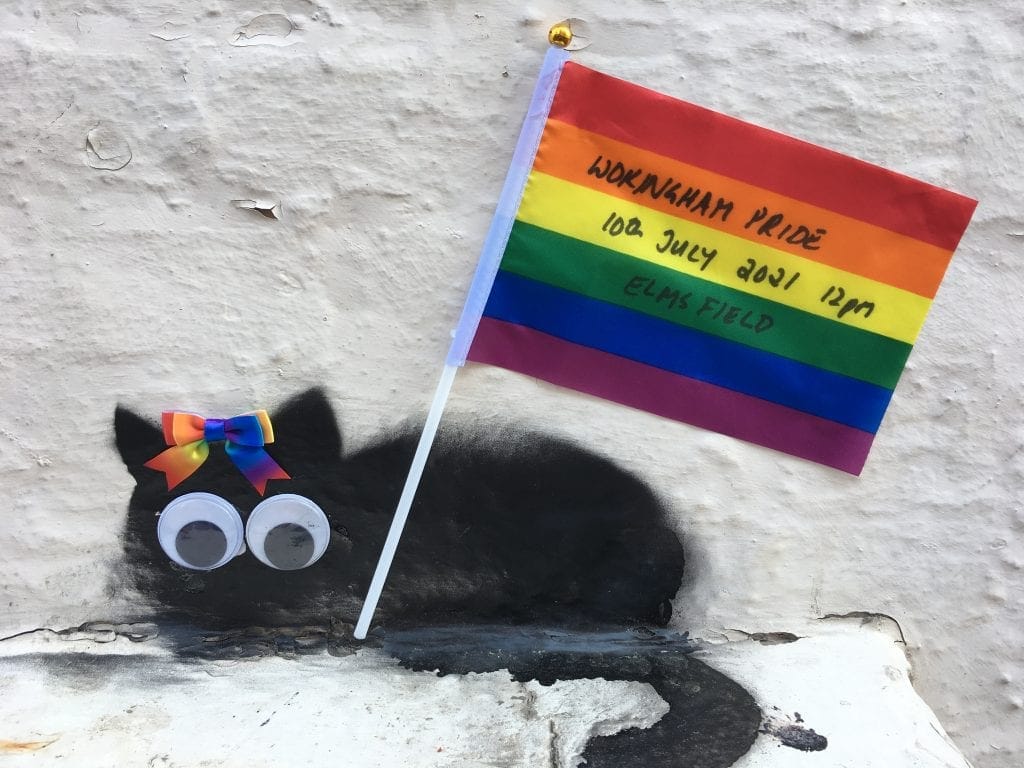 wokingham pride event 2021 catsy oxfam picnic in the park