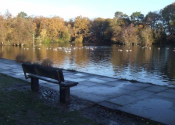 Car parking fees at California Country Park will also increase. Picture: Harry Atkinson