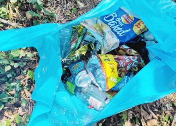 Litter collected in Wokingham
