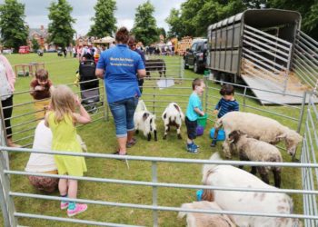 Family fun day