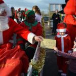 Hare Hatch Sheeplands Santa arrival