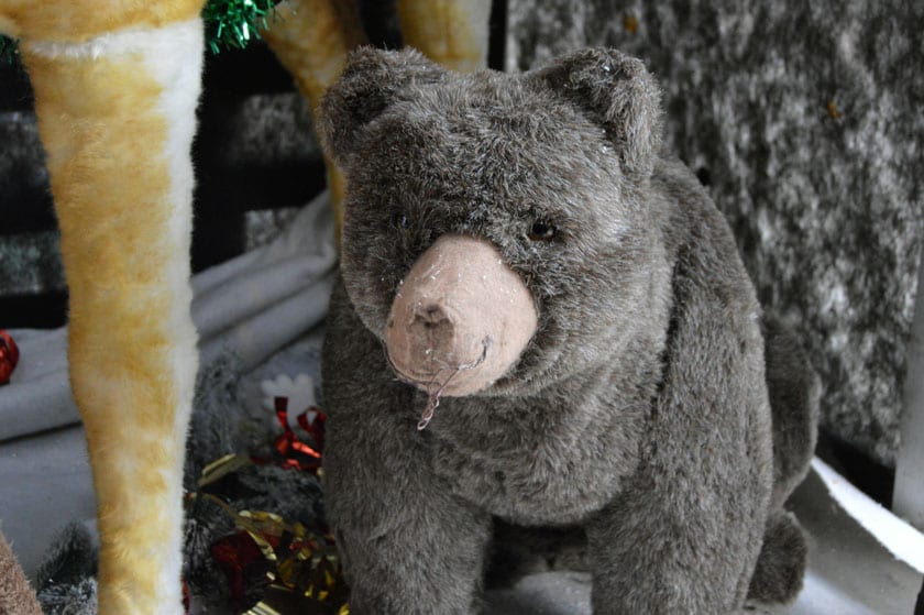 Hare Hatch Sheeplands Santa arrival