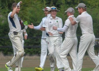 Hurst celebrate taking a wicket