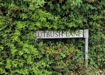 Cutbush Lane