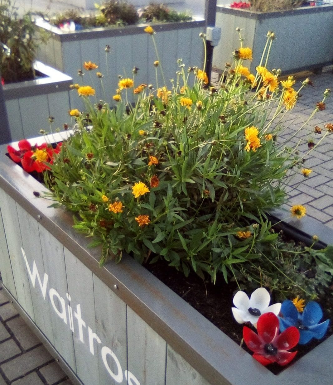 Picture: Patrick Henesey