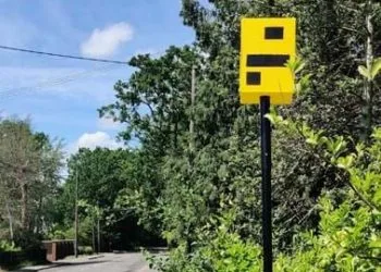 ACTION: The bird box was up for a week Picture: Gareth Rees