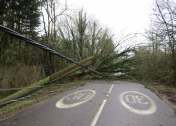 The fallen tree is blocking Wokingham Road, Hurst. Picture: Sue Corcoran