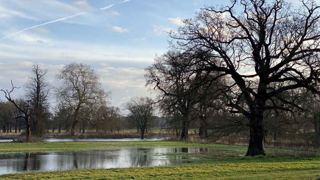 Flooding Swallowfield