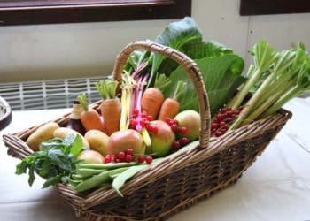 Hurst Horticultural Show