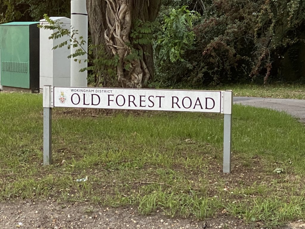 Old Forest Road