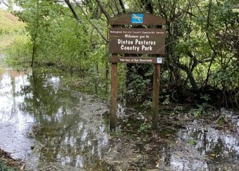 Dinton Pastures