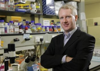 ben cowling professor sonning mbe coronvirus queen's honours