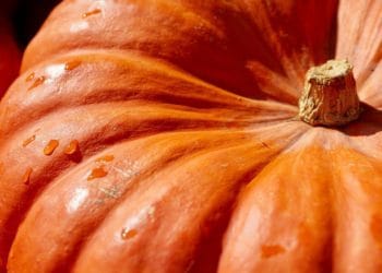 woodley hallowe'en