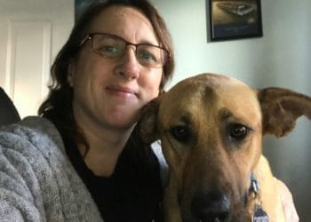 wokingham dog sanctuary