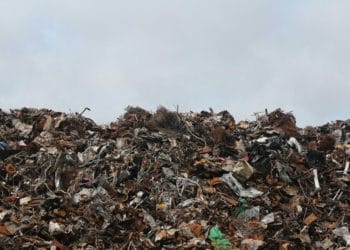 waste picking reading