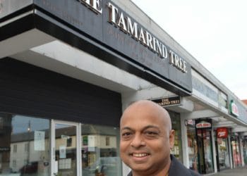 Tamarind Tree