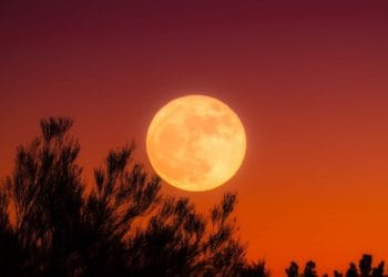 A harvest moon Picture: Pixabay