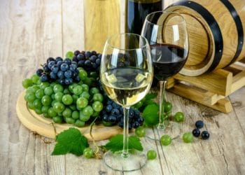 wine tasting