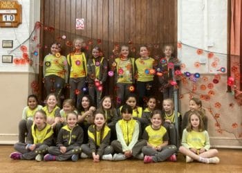 poppy appeal display