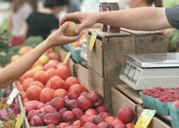 farmers market