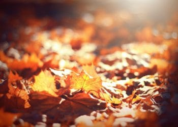 Picture: Timothy Eberly from Unsplash