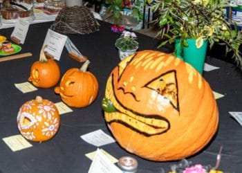 pumpkin