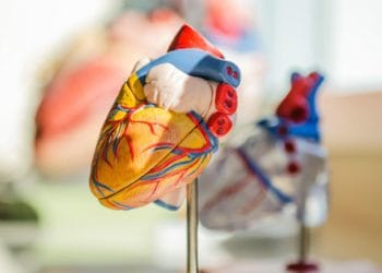 The number of people waiting more than six weeks for a heart scan has soared. Picture:  jesse orrico on Unsplash