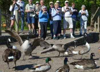 A Date with Nature Walk at Dinton Pastures on Saturday