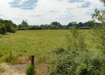 The preposed developement site between the Toutley Depot and Twyford Road. Picture: Steve Smyth