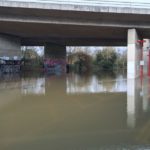 Loddon Bridge flooding