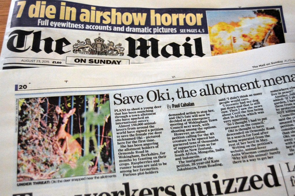The Mail on Sunday today features the campaign to protect Oki the deer