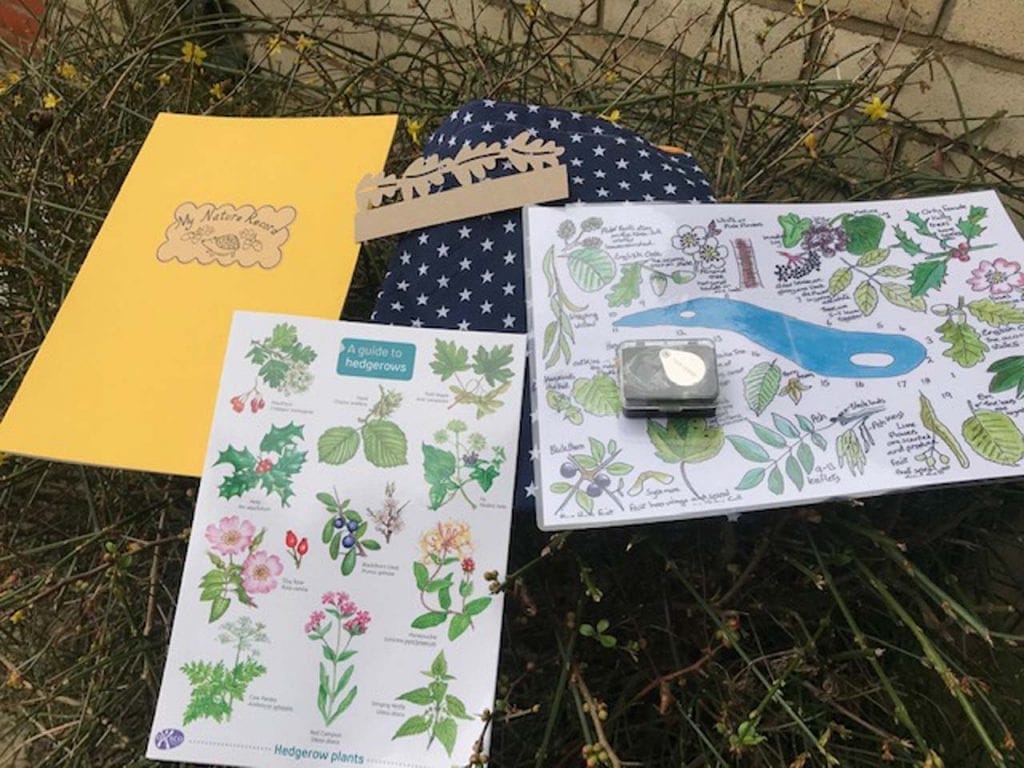 Earley Environmental Group