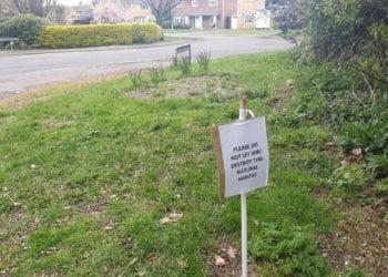 Wokingham greenway