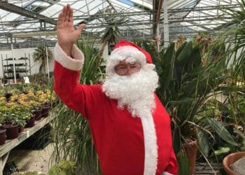 Santa Sheeplands