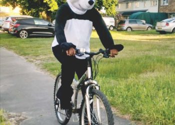 Earley Panda
