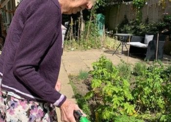 Resident Sheila Johnson,  81, watering the plants  in the Alexandra Grange garden.