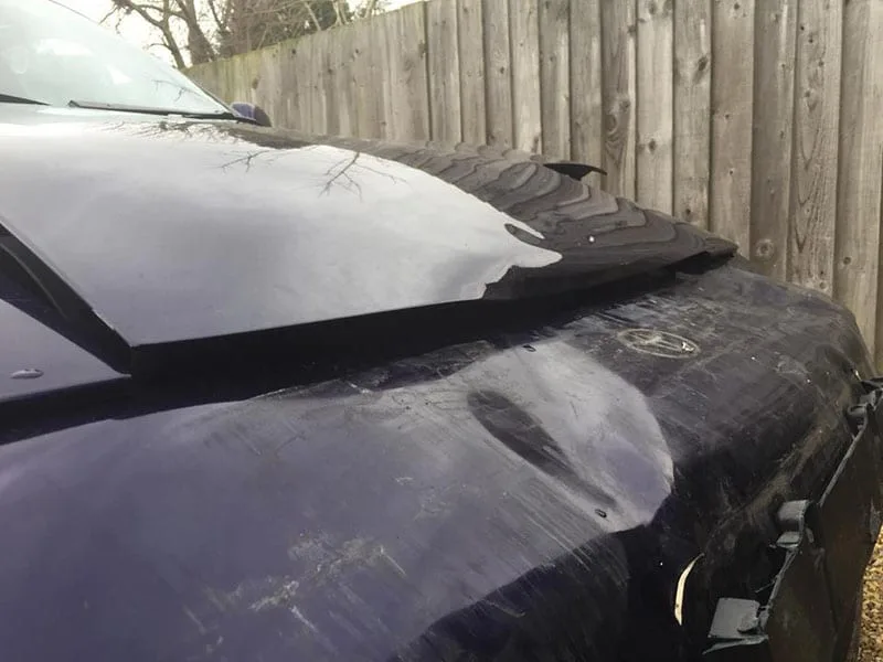 Stef Bird hit and run