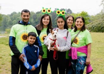 Sunflower Walk