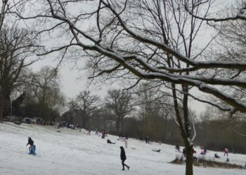 Snow