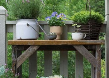 Vintage Garden