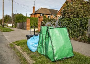 Green bags