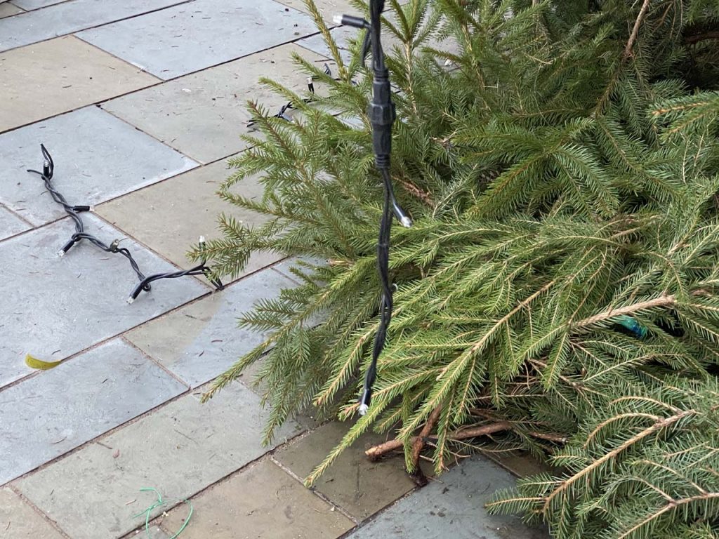 Christmas tree vandalism