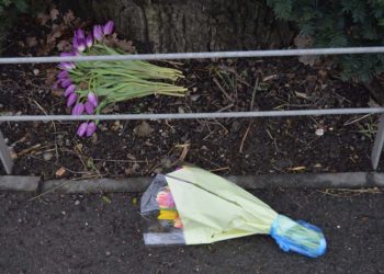 Grazeley crash