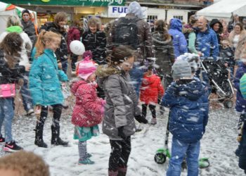 Wokingham Winter Carnival